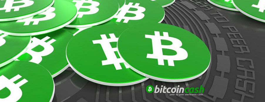 The Story Behind the Rise and Fall of Bitcoin Cash