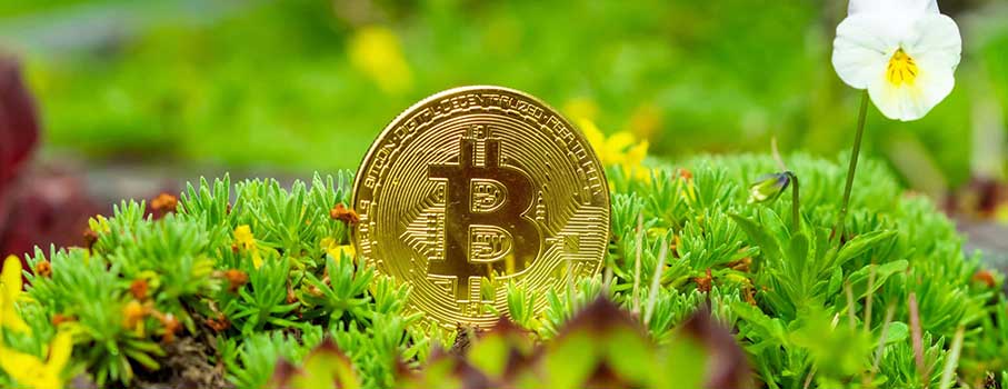 New Bitcoin Reserve Proposal Signals U.S. Commitment to Digital Assets